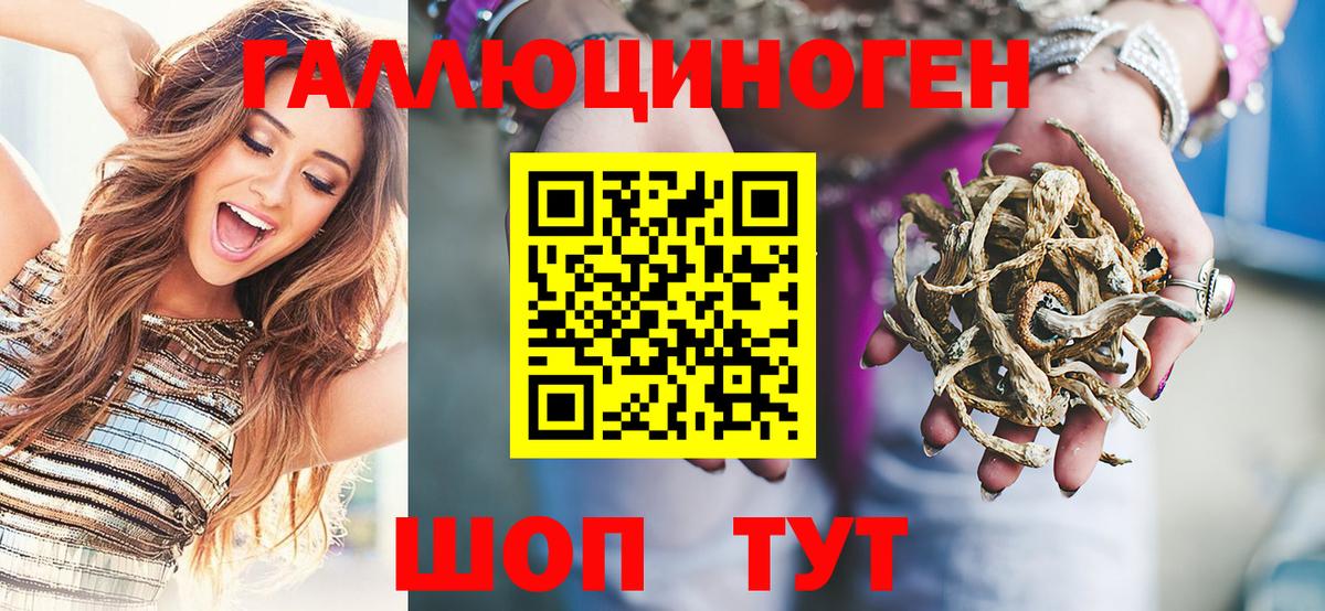 Псилоцибиновые грибы GOLDEN TEACHER Ноябрьск