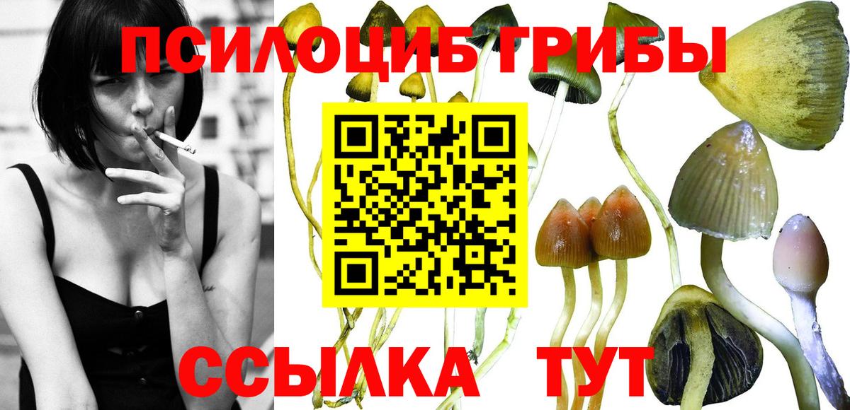 Псилоцибиновые грибы GOLDEN TEACHER  Вход с VPN  Ноябрьск 